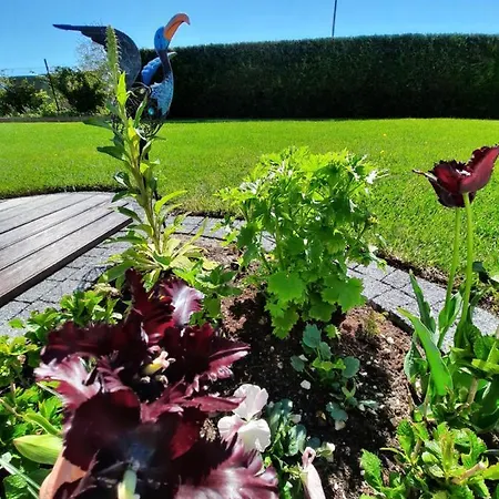 民宿 Morska W Chlapowie Władysławowo