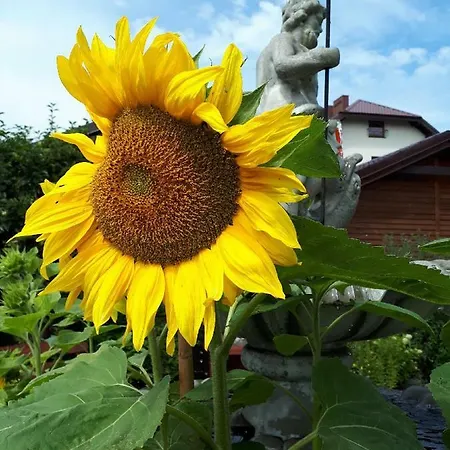 Morska W Chlapowie 民宿