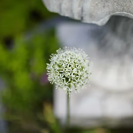 Ubytování v soukromí Morska W Chlapowie *
