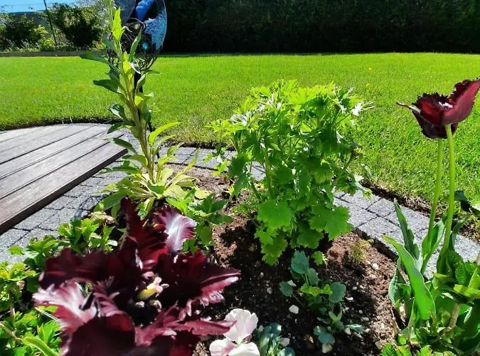 Alloggio in famiglia Morska W Chlapowie Władysławowo