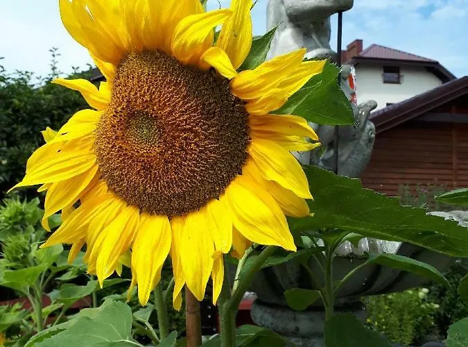 Morska W Chlapowie Alloggio in famiglia