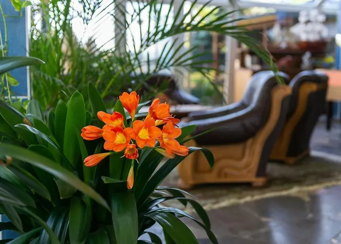 Morska W Chlapowie Alloggio in famiglia *