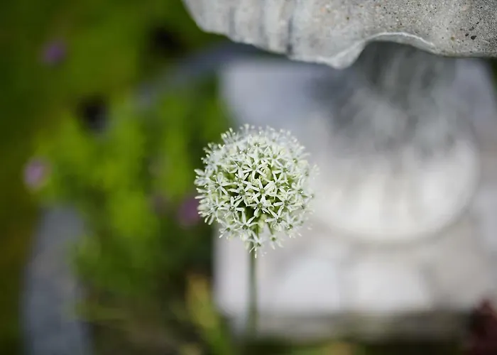 Alloggio in famiglia Morska W Chlapowie *