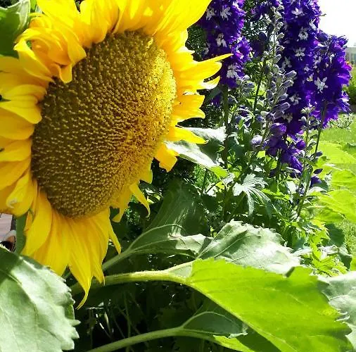 Alloggio in famiglia Morska W Chlapowie Władysławowo